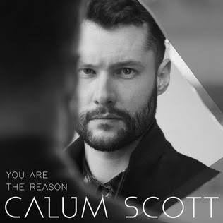Calum Scott - You Are The Reason mp3 download