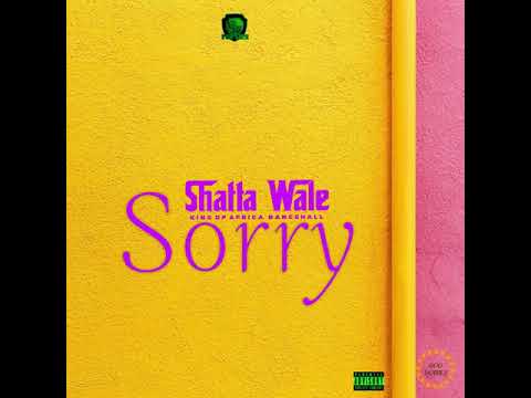 Shatta Wale - Sorry mp3 download