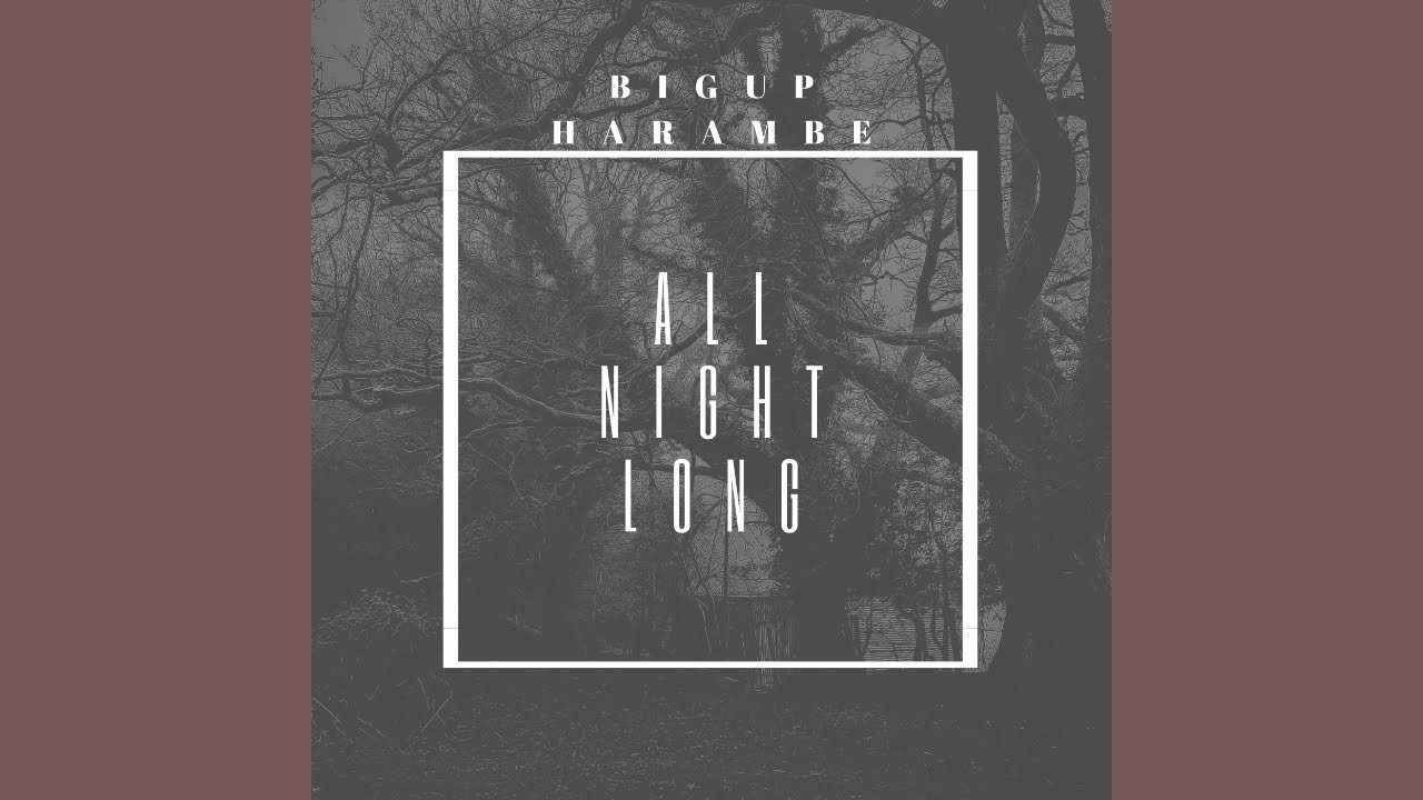 BigUp Harambe – All Night Long mp3 download