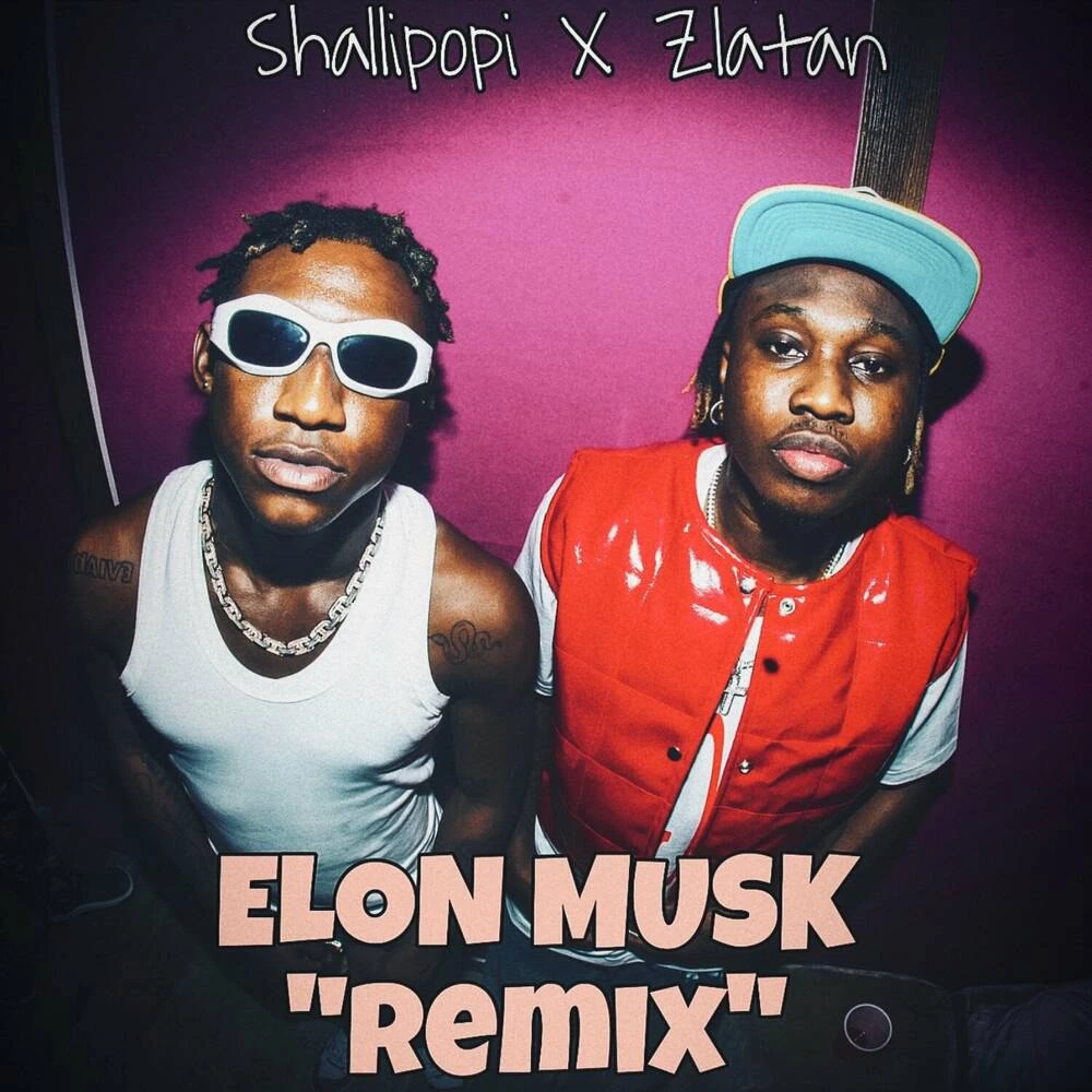 Shallipopi – Elon Musk (Remix) Ft. Zlatan mp3 download