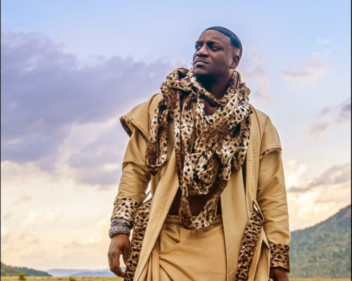 Akon – Enjoy That Remix Ft. Mr Brown