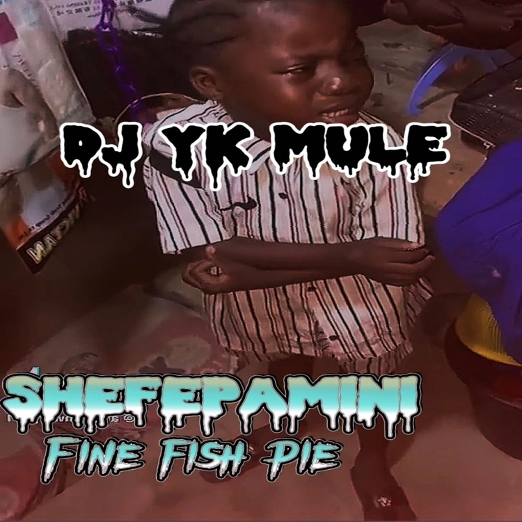 Dj Yk Mule – Shefepamini Fine Fish Pie mp3 download