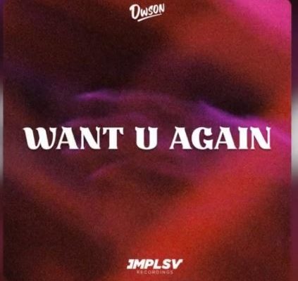 Dwson – Want U Again mp3 download