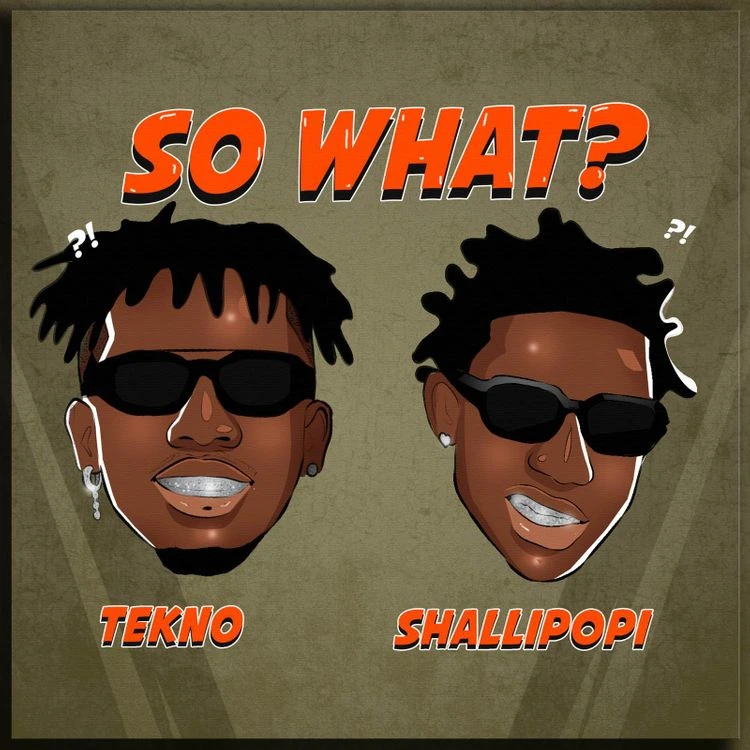 Tekno – So What? Ft. Shallipopi mp3 download