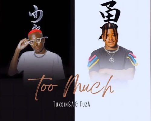 TuksinSA & Fuza – Too Much mp3 download