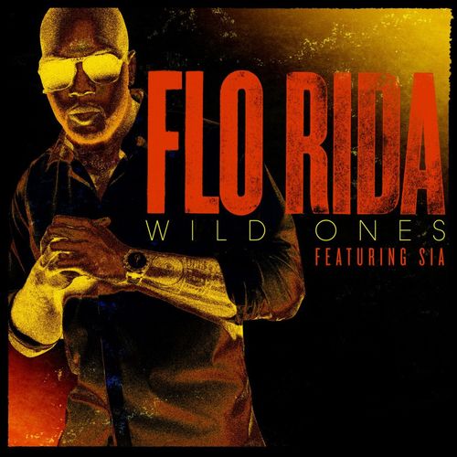 Flo Rida – Wild Ones (ft. Sia)