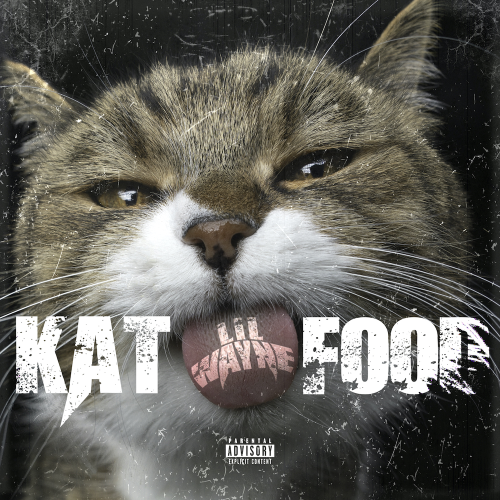 Lil Wayne Kat Food Instrumental