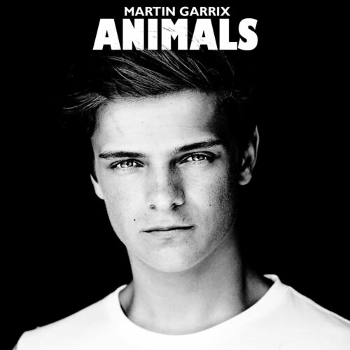 Martin Garrix – Animals