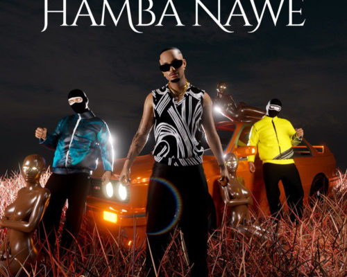 Masterpiece YVK – Hamba Nawe Ft. Nkulee501 & Skroef28