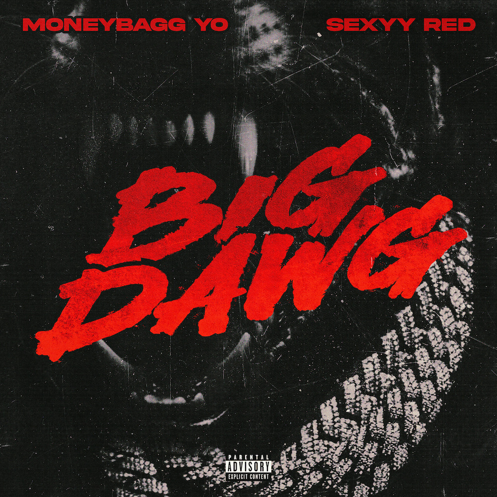 Moneybagg Yo & Sexyy Red Big Dawg Instrumental mp3 download