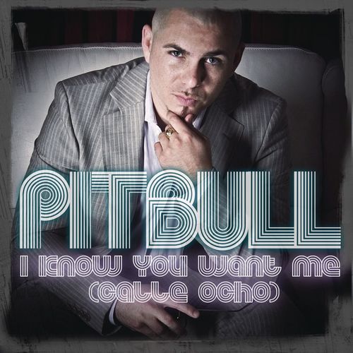Pitbull - I Know You Want Me (Calle Ocho) mp3 download