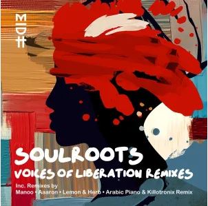 Soulroots – Mabali (Lemon & Herb Remix) Ft. Toshi mp3 download