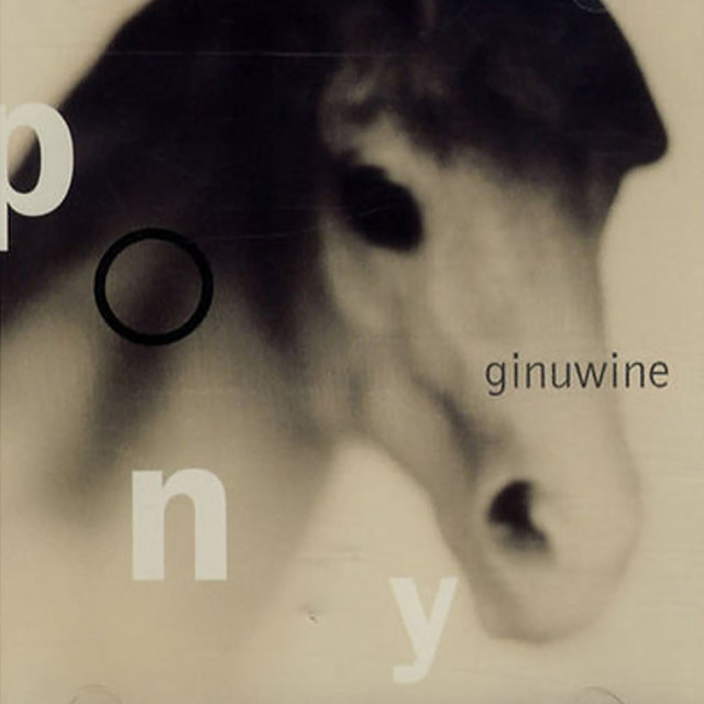 Ginuwine – Pony