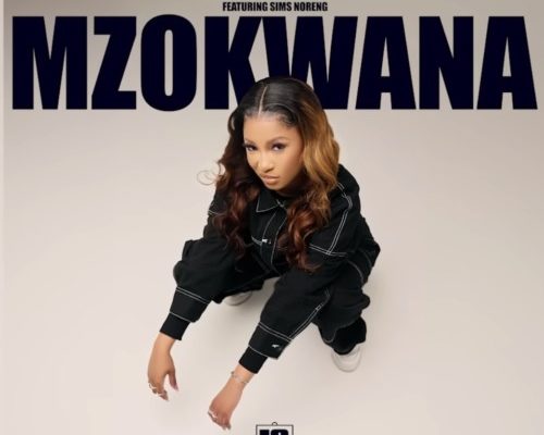 Dj Tshegu – Mzokwana Ft. Sims Noreng mp3 download