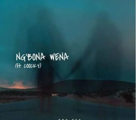 Pro-Tee – Ngbona Wena Ft. Coocky mp3 download