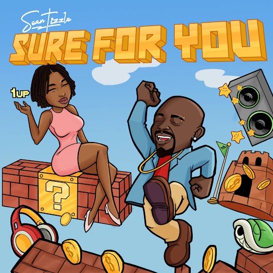 Sean Tizzle - Sure For You (Instrumental) mp3 download