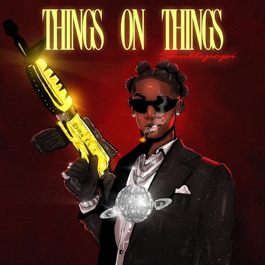 Shallipopi Things On Things Instrumental mp3 download Shallipopi Things On Things Instrumental mp3 download