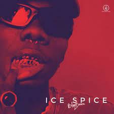 Blaqbonez - Like Ice Spice (Instrumental) mp3 download