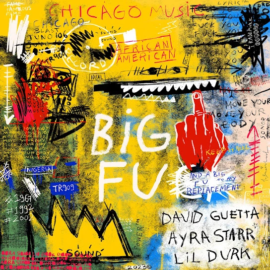 David Guetta ft. Ayra Starr ft. Lil Durk Big FU Instrumental