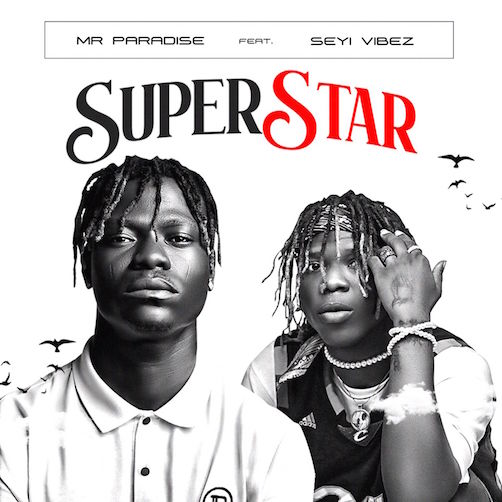 Mr Paradise x Seyi Vibez – Super Star mp3 download