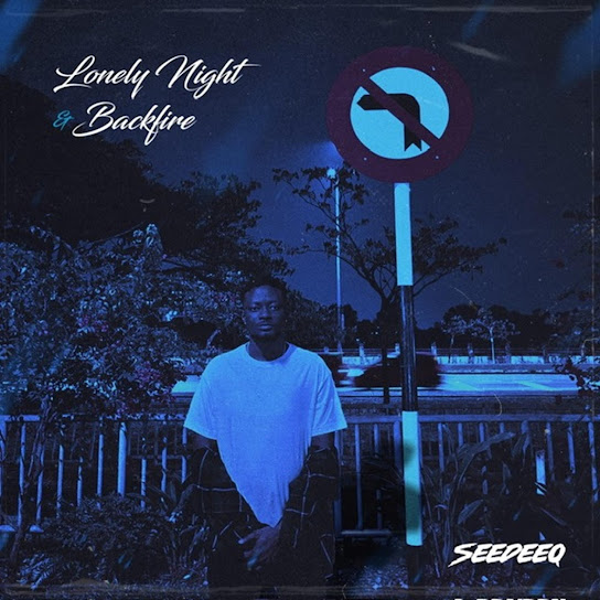 Seedeeq – Lonely Night Ft. OlaDips mp3 download
