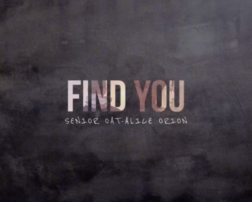 Senior Oat – Find You Ft. Alice Orion