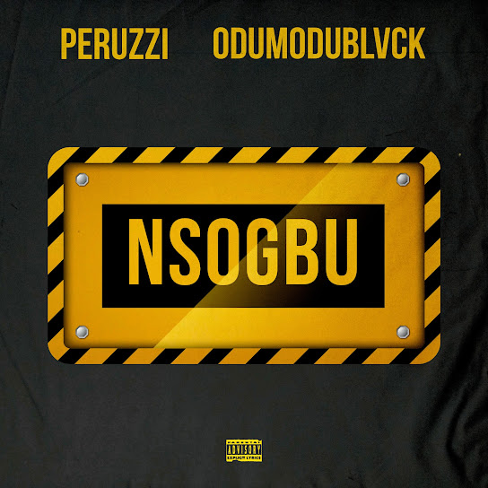 Peruzzi – Nsogbu Ft. Odumodublvck mp3 download