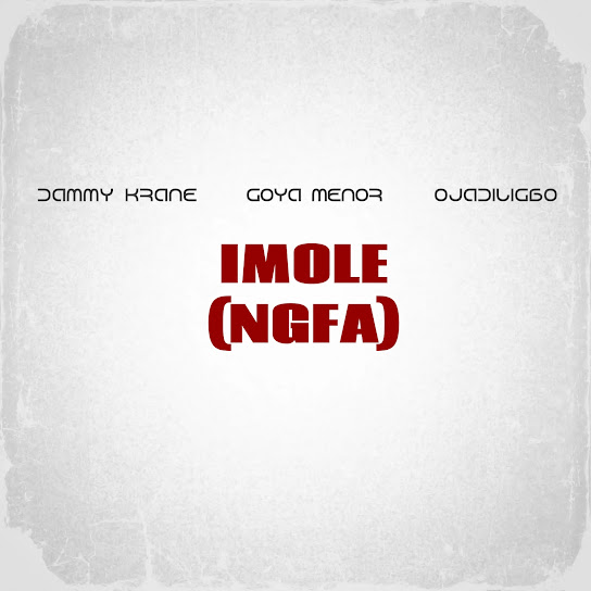 Dammy Krane – Imole (NGFA) Ft. Goya Menor & Ojadiligbo mp3 download