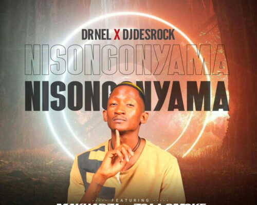 Dr Nel – Nisongonyama Ft. Makhadzi, DJ Desrock & Zoli Smoke mp3 download