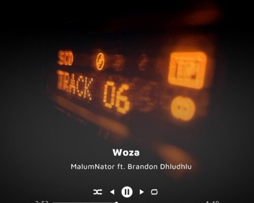 MalumNator – Woza Ft. Brandon Dhludhlu mp3 download