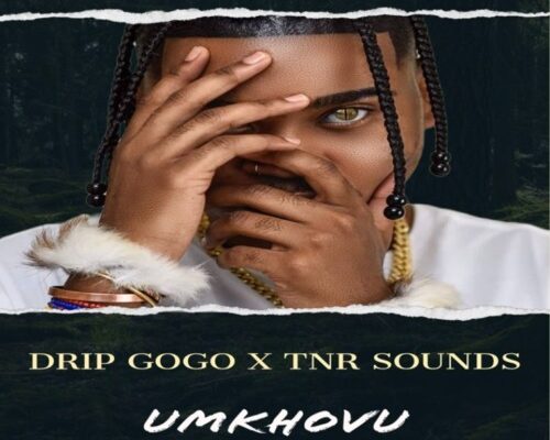 Drip Gogo & TNR Sounds – uMkhovu mp3 download