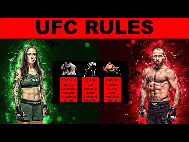 Understanding the rules of an UFC match